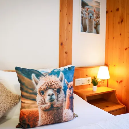 House Of Happiness By Apartmentglück 3* Schluchsee