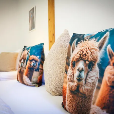 House Of Happiness Schluchsee Pensjonat 3*