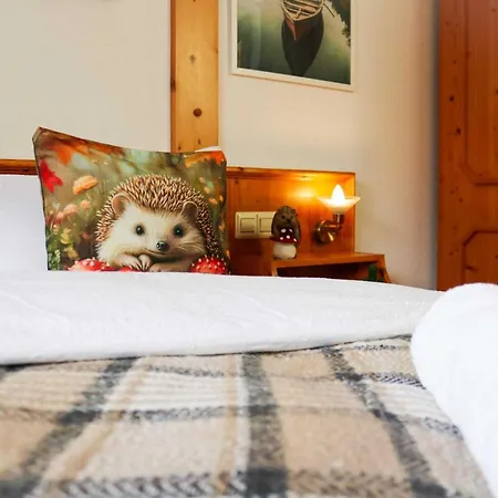 House Of Happiness By Apartmentglueck 3* Schluchsee
