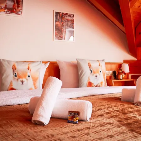 Pensión House Of Happiness By Apartmentglück Schluchsee