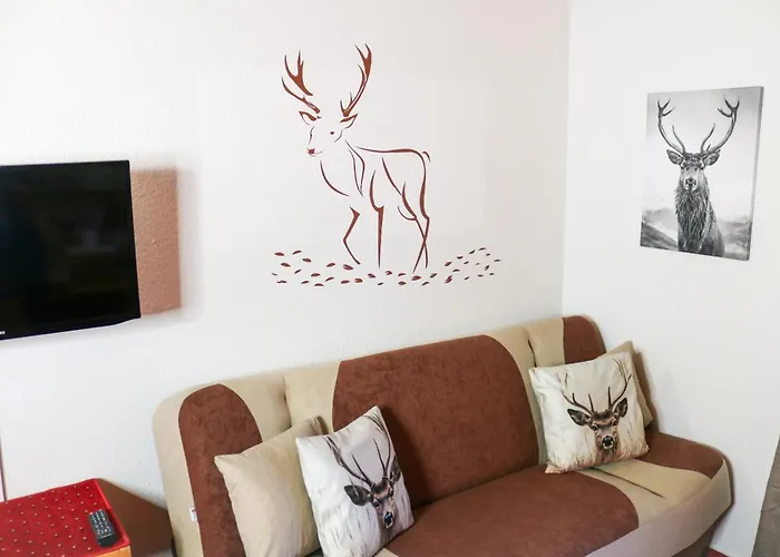 House Of Happiness 3* Schluchsee